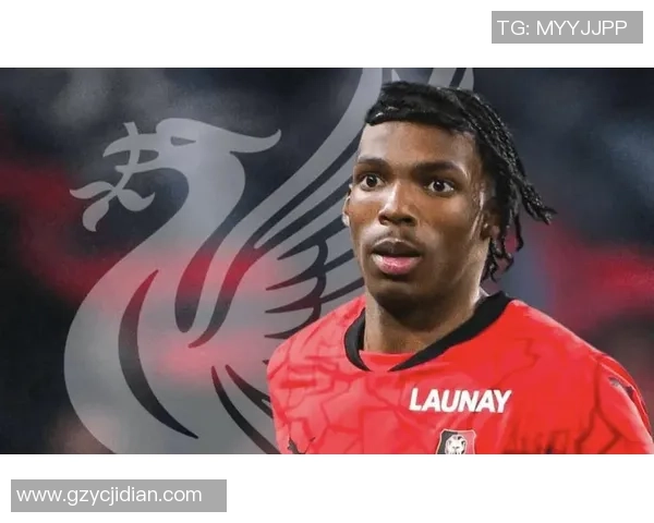 总算意气昂扬,利物浦天价中场闪烁赛场,德国大胜确定世界杯资历